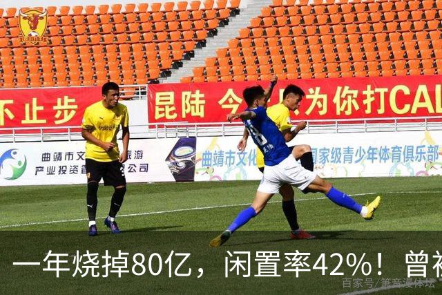 一年烧掉80亿，闲置率42%！曾被捧成香饽饽的生意，怎么不香了？