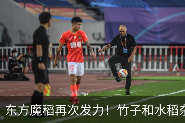 东方魔稻再次发力！竹子和水稻杂交出2米巨稻，稻米带有竹子清香