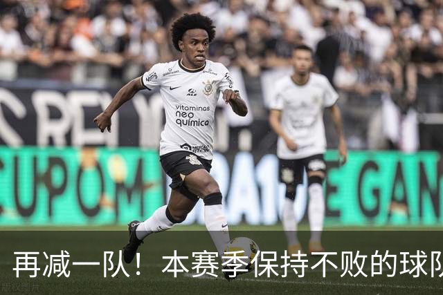 再减一队！本赛季保持不败的球队仅剩3支：火箭、灰熊、开拓者
