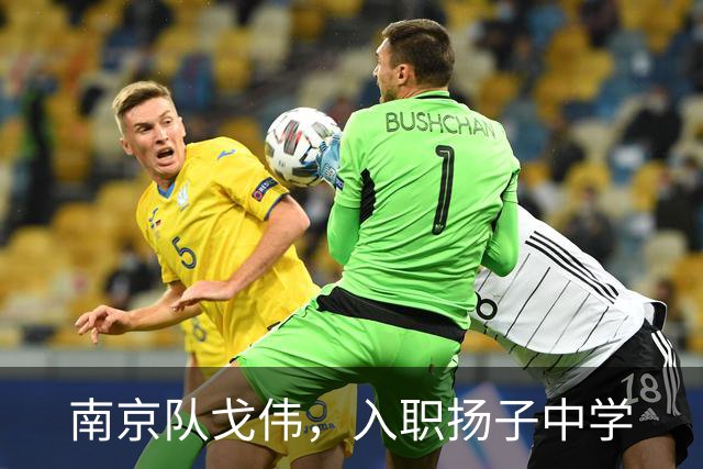 南京队戈伟，入职扬子中学