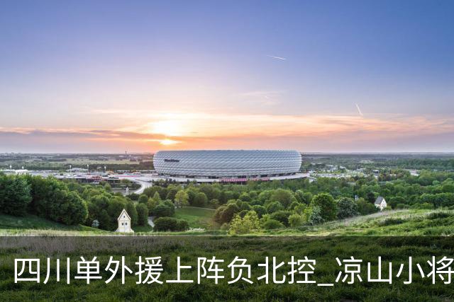四川单外援上阵负北控 凉山小将骆金州再登场