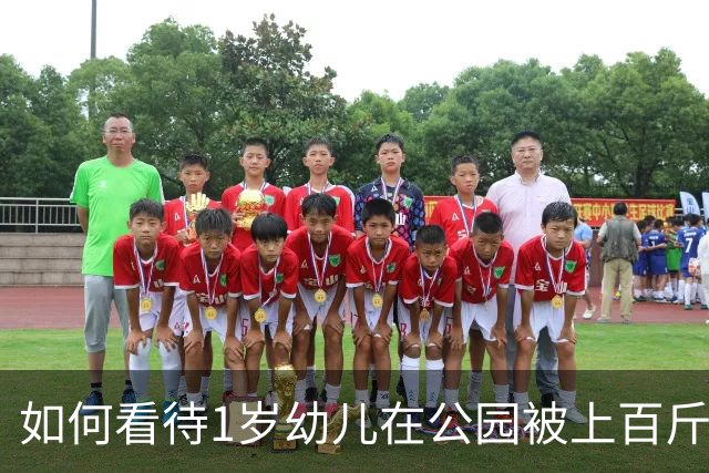 如何看待1岁幼儿在公园被上百斤钢板砸中身亡，钢板没固定但父亲曾起跳碰到，谁该为此事担责？仅赔偿30万合理吗？