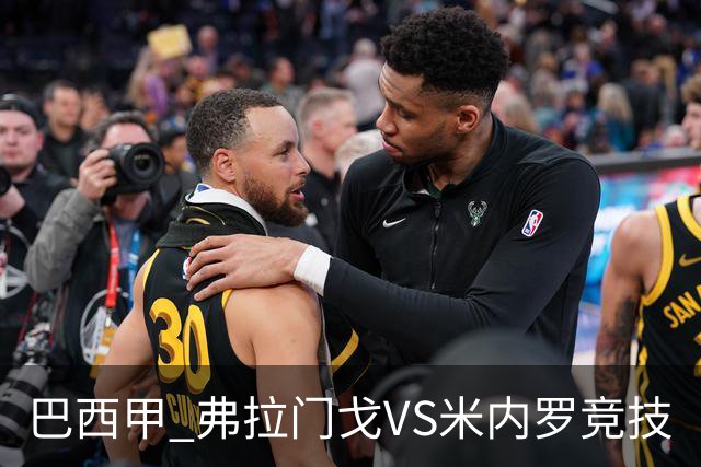 巴西甲 弗拉门戈VS米内罗竞技