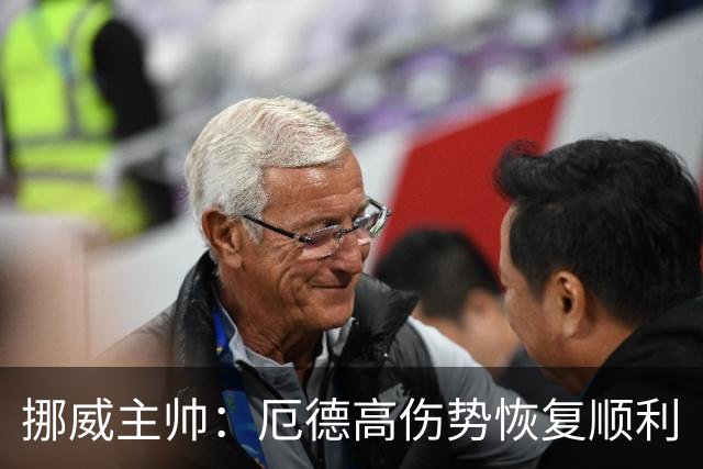 挪威主帅：厄德高伤势恢复顺利