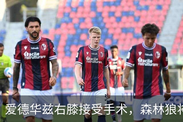 爱德华兹右膝接受手术，森林狼将一次性解决膝伤，预计休战2个月