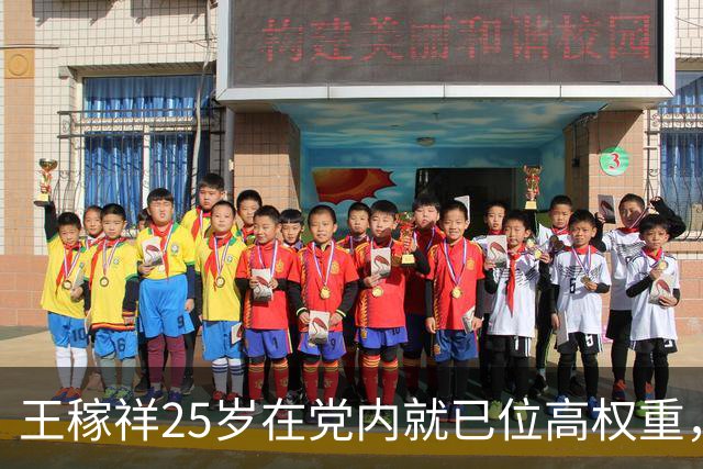 王稼祥25岁在党内就已位高权重，怎么后来地位一路走低，遗憾收场