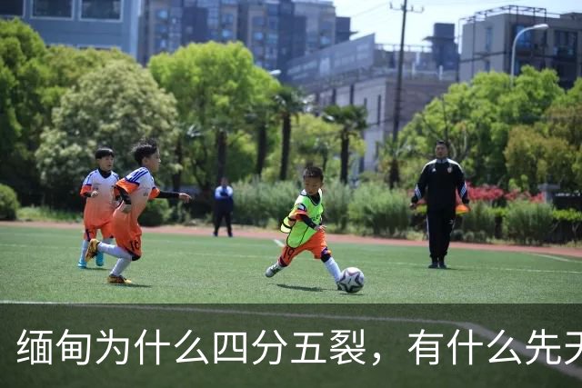 缅甸为什么四分五裂，有什么先天劣势？