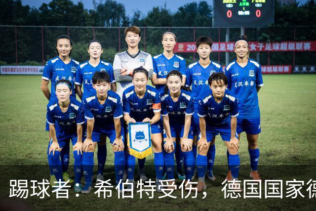 踢球者：希伯特受伤，德国国家德比主裁判已更换为斯蒂勒