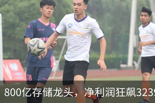 800亿存储龙头，净利润狂飙32399%