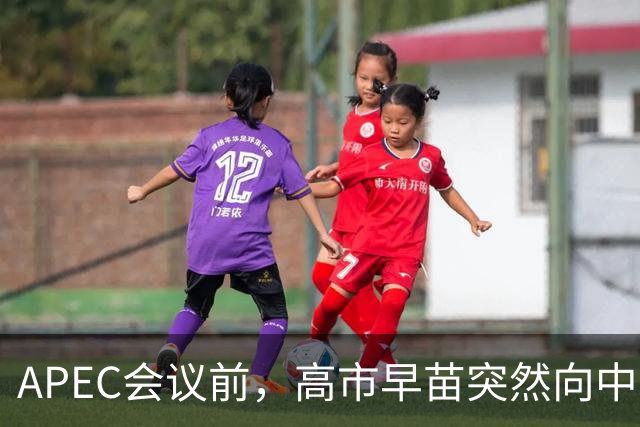 APEC会议前，高市早苗突然向中方表态，提及台湾问题，用意不一般