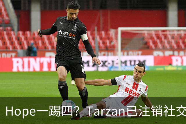 Hope一踢四？Tarzan已注销社交账号 TES内战打BLG